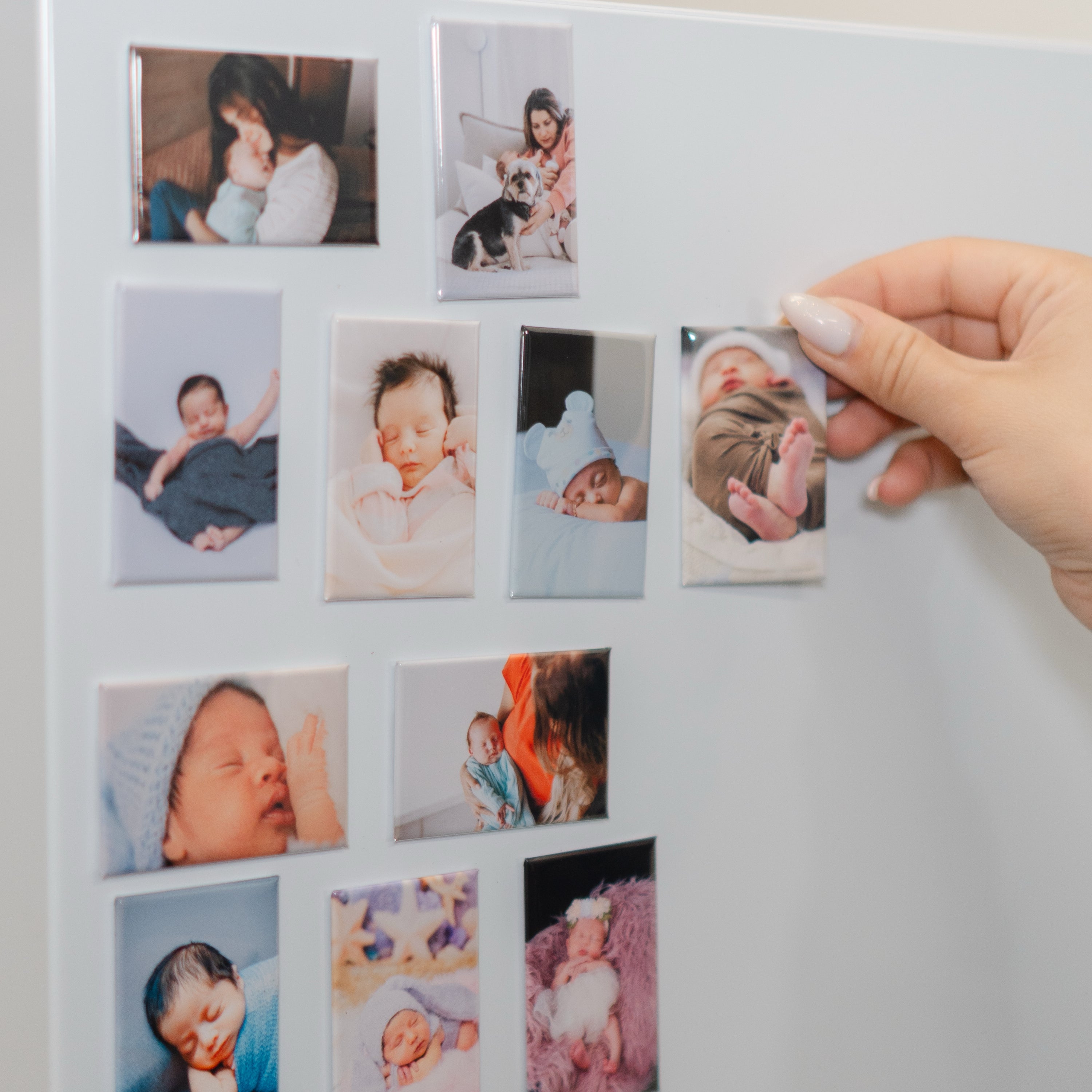 Photo Magnets 1.75 x 2.75"