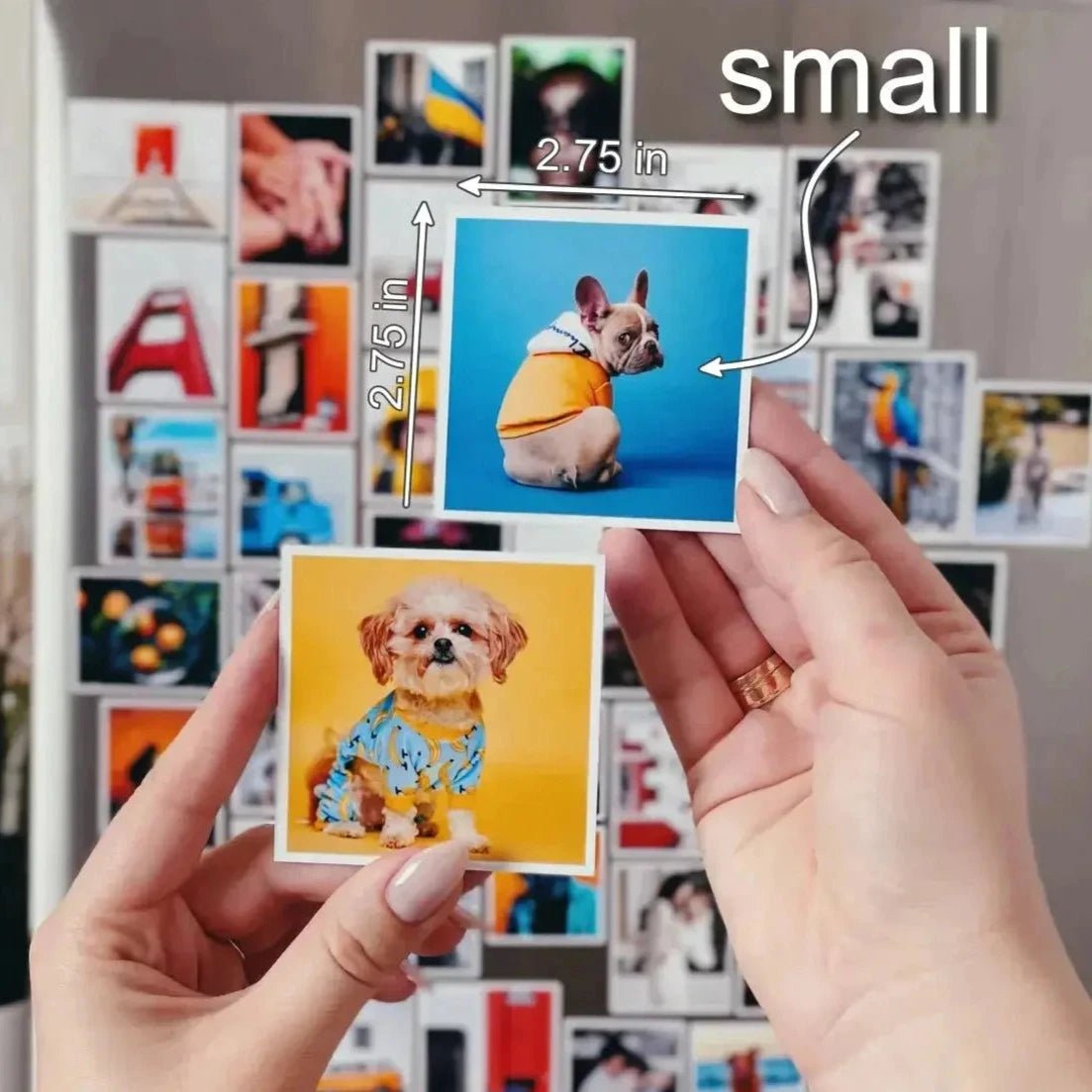 Custom Photo Magnets - Snap Magnets