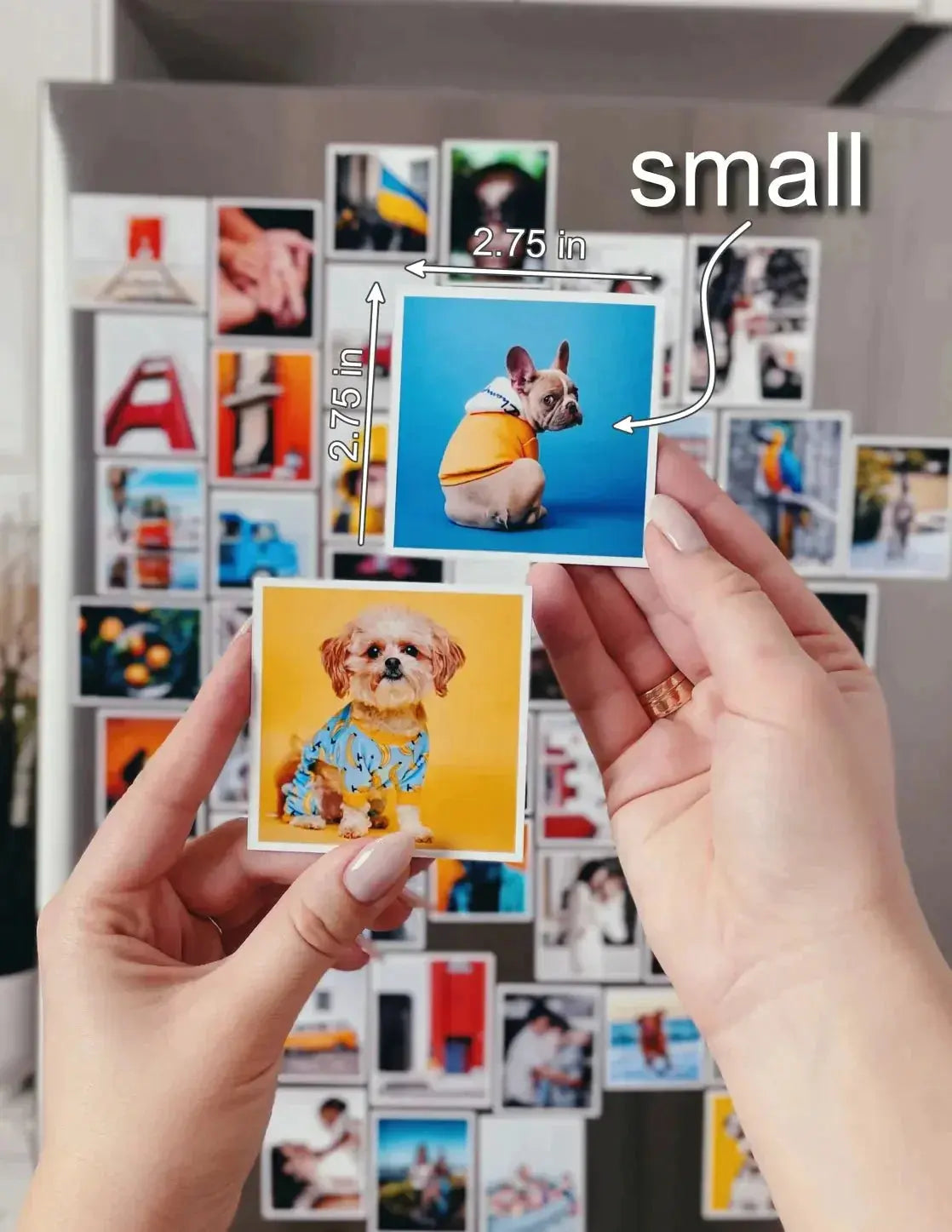 Photo Fridge Magnets, Magnet With Photo, Custom Instagram Photo Magnets
