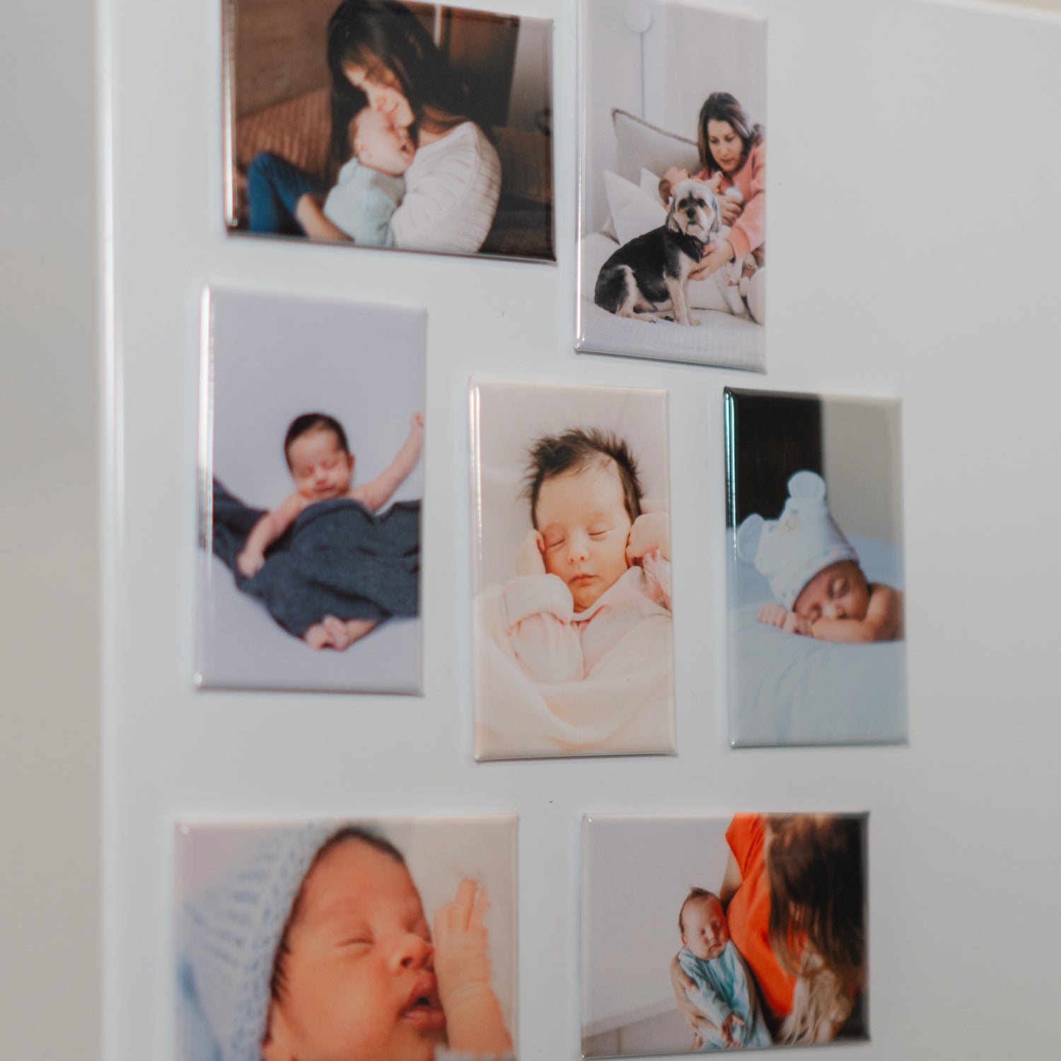 Photo Magnets  1.75 x 2.75"