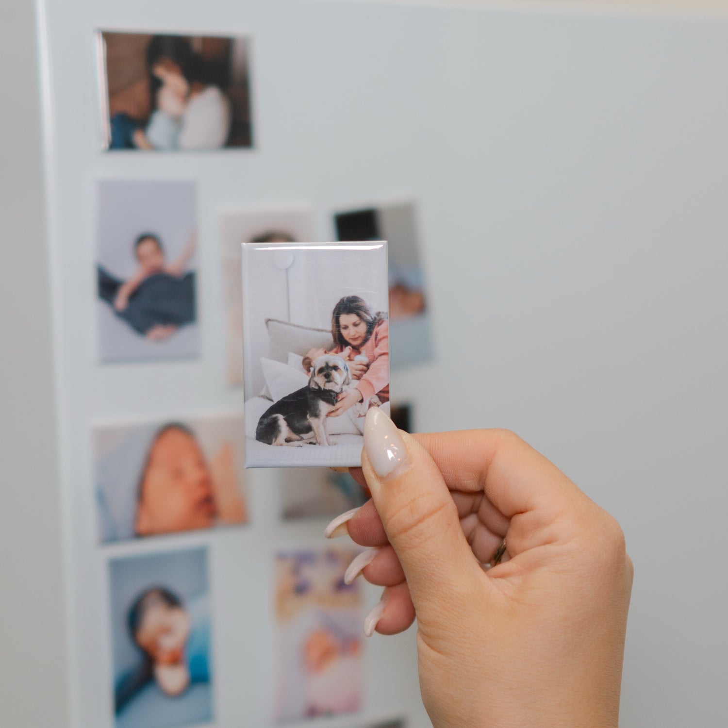 Photo Magnets  1.75 x 2.75"
