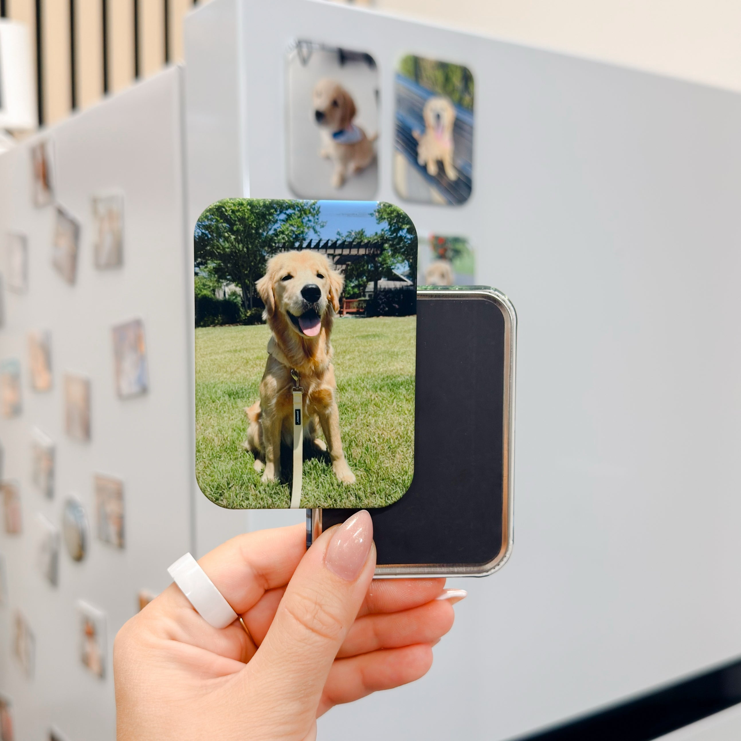 Velvet Personalized Pet Magnet, Fridge Decor &amp; Pet Lover Gift