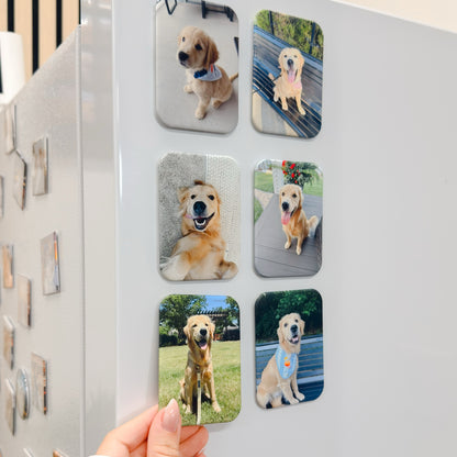 Velvet Personalized Pet Magnet, Fridge Decor &amp; Pet Lover Gift