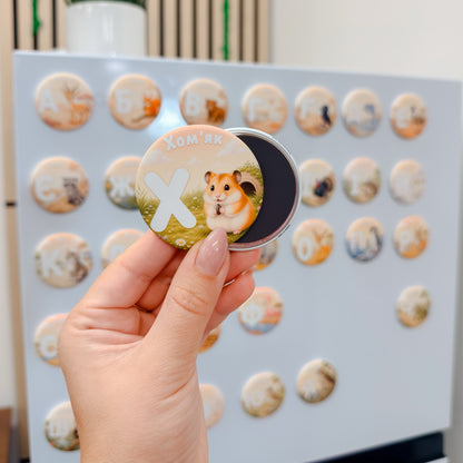 Alphabet Magnet Set: Square Button Magnets With Animals, Kids Learning Gift
