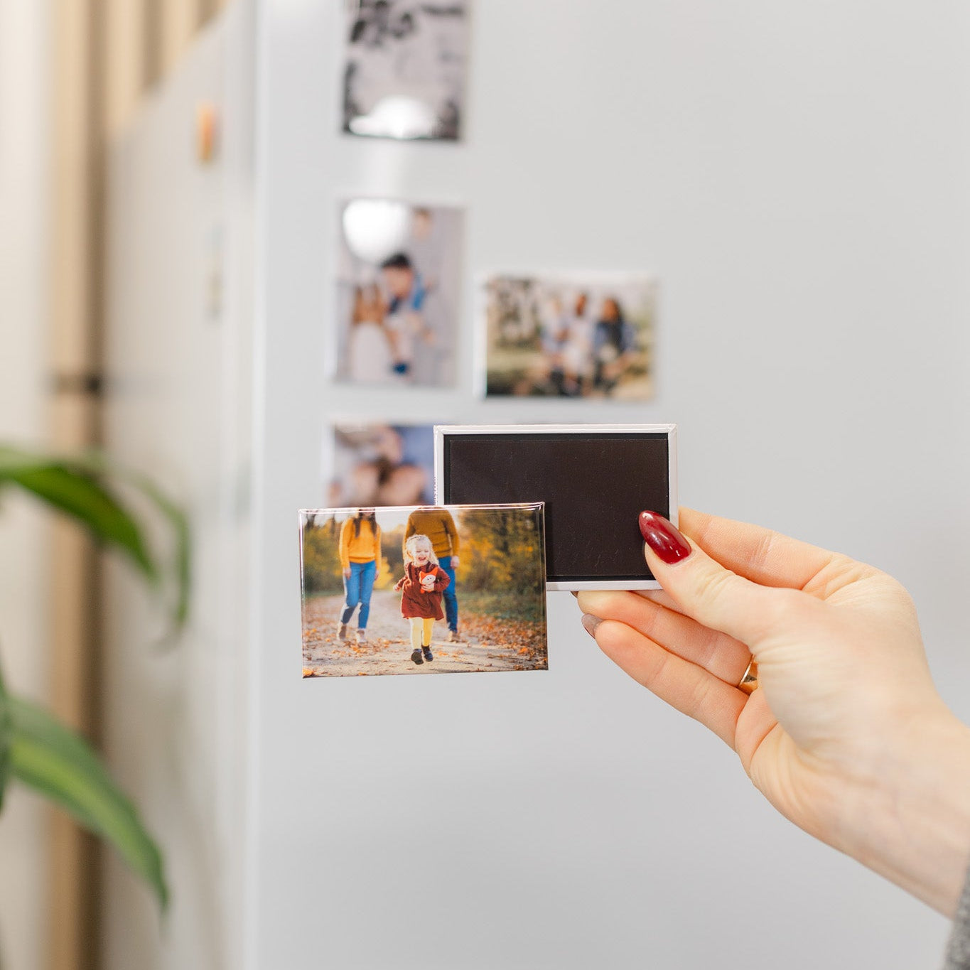Fridge Photo Magnets