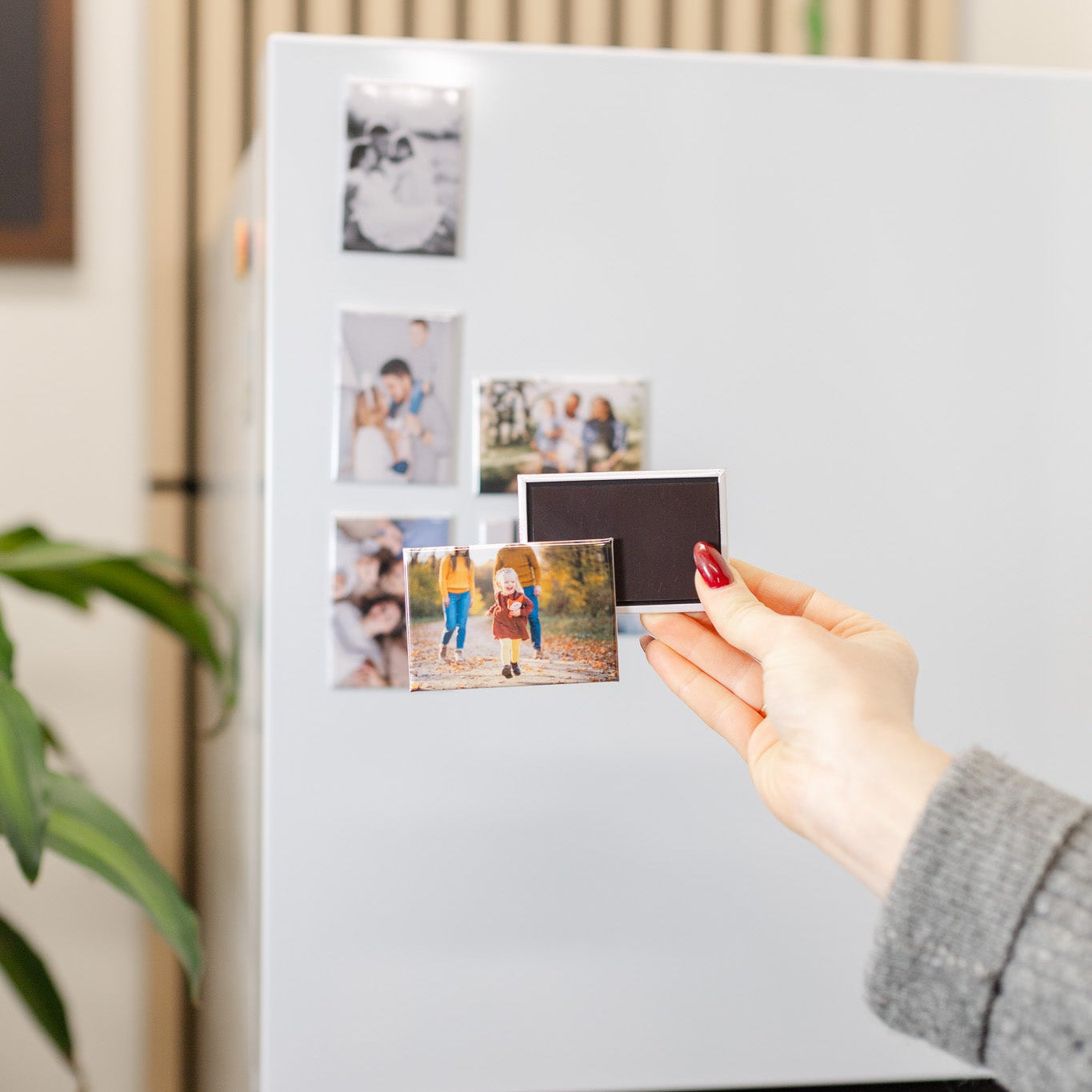Fridge Photo Magnets