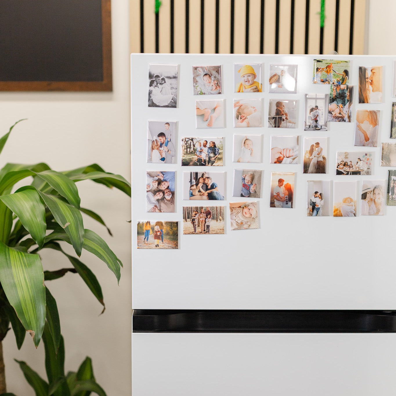 Fridge Photo Magnets