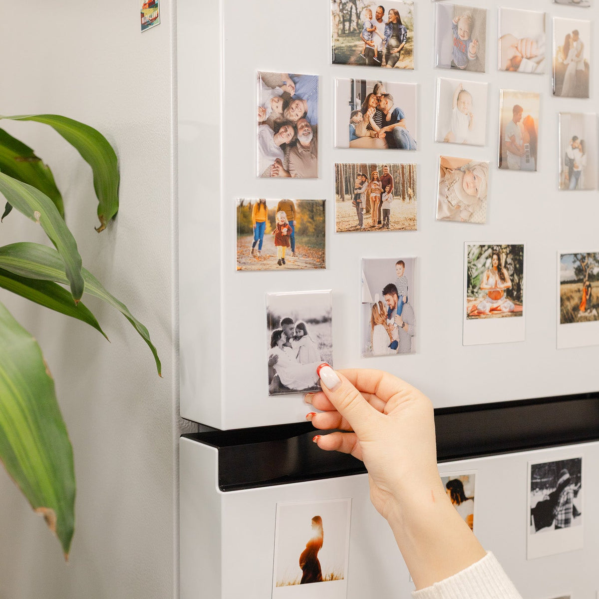 Personalized Custom Fridge Photo Magnets Online - Snap Magnets